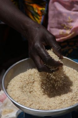 Mano cogiendo arroz. Foto AECID