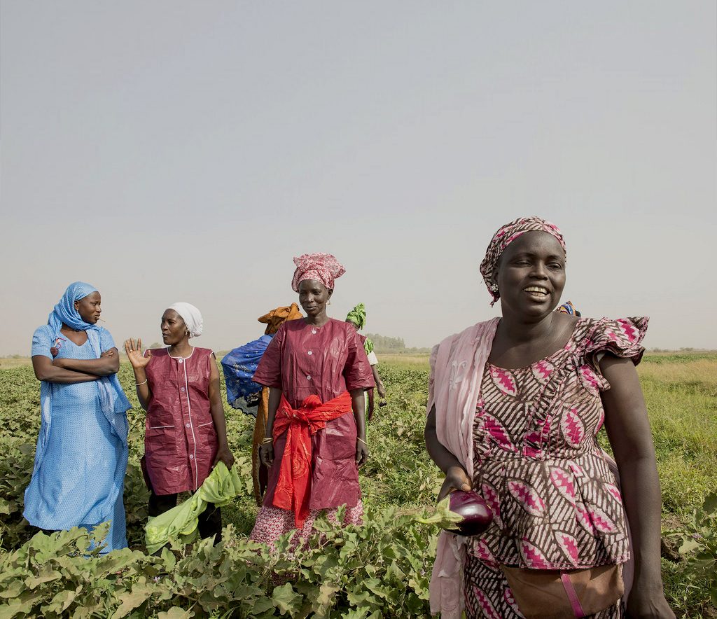 Mujeres africanas en un cultivo. Foto: Miguel Lizana / AECID